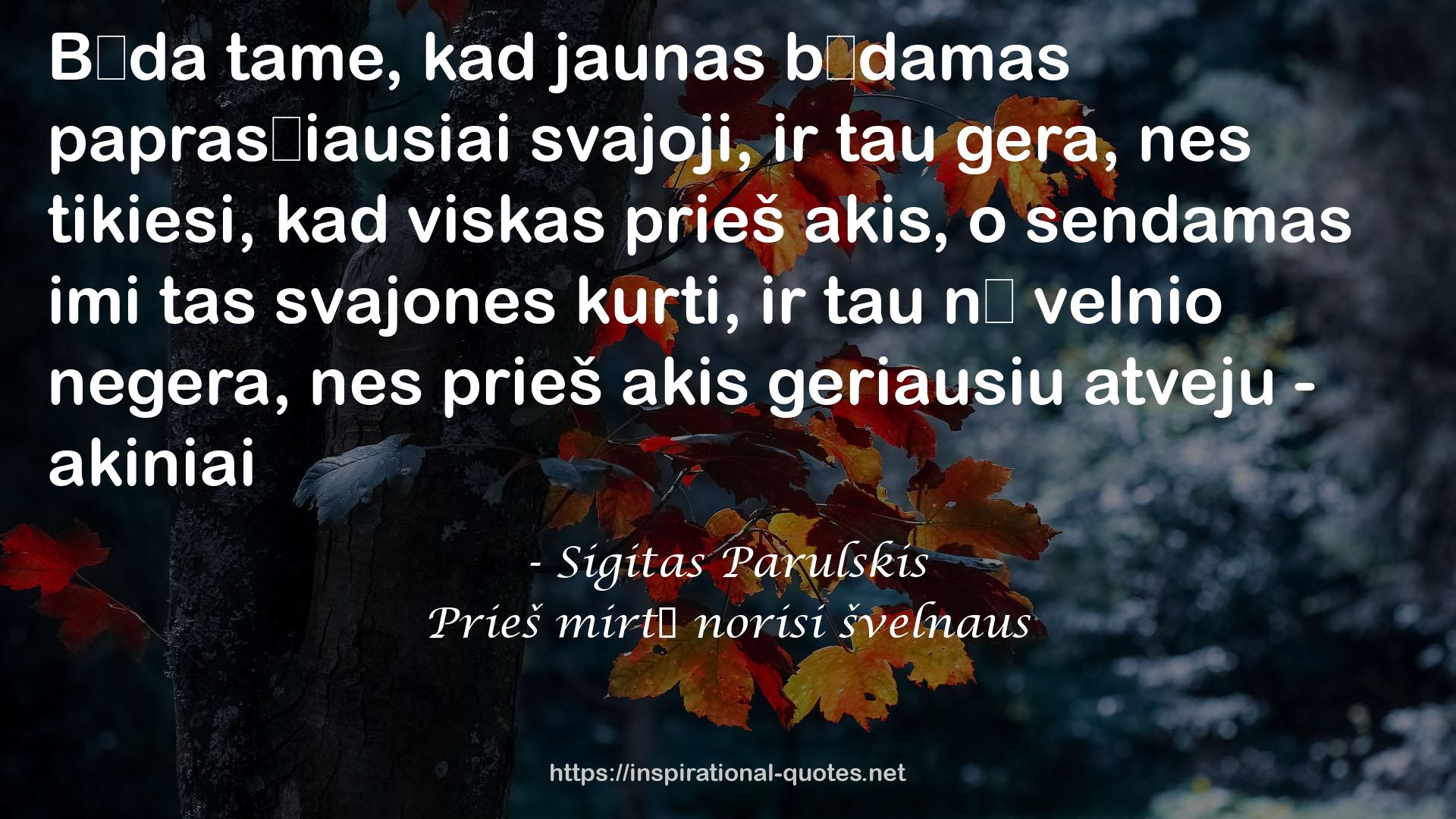 Sigitas Parulskis QUOTES
