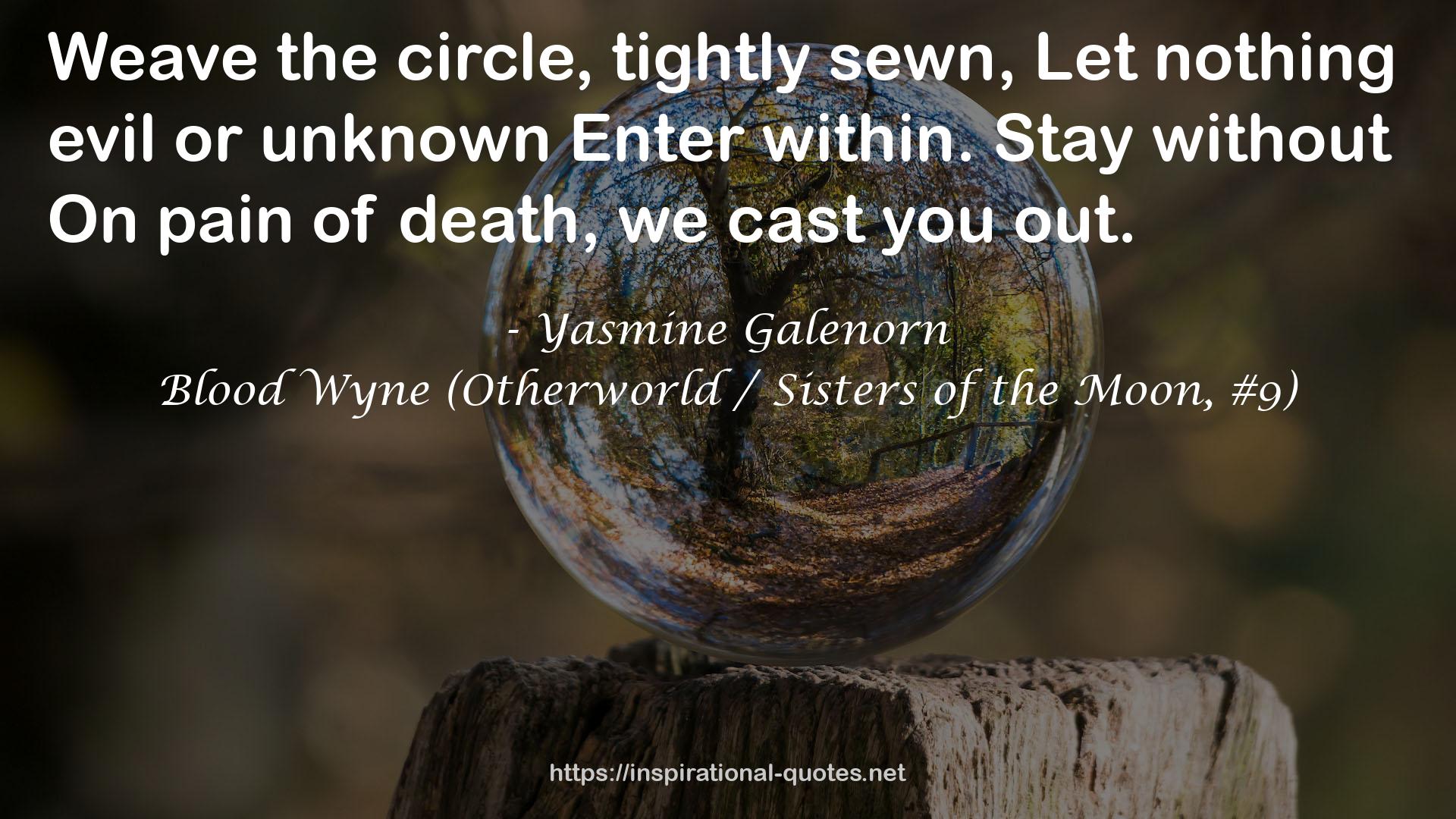 Blood Wyne (Otherworld / Sisters of the Moon, #9) QUOTES