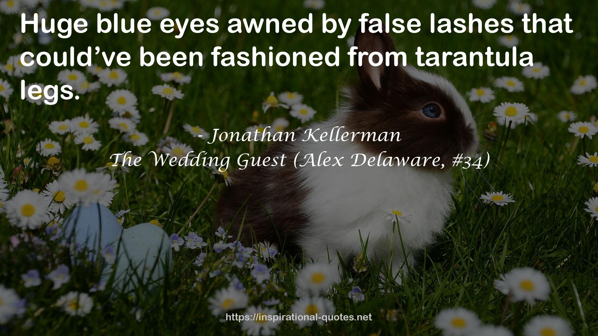 The Wedding Guest (Alex Delaware, #34) QUOTES