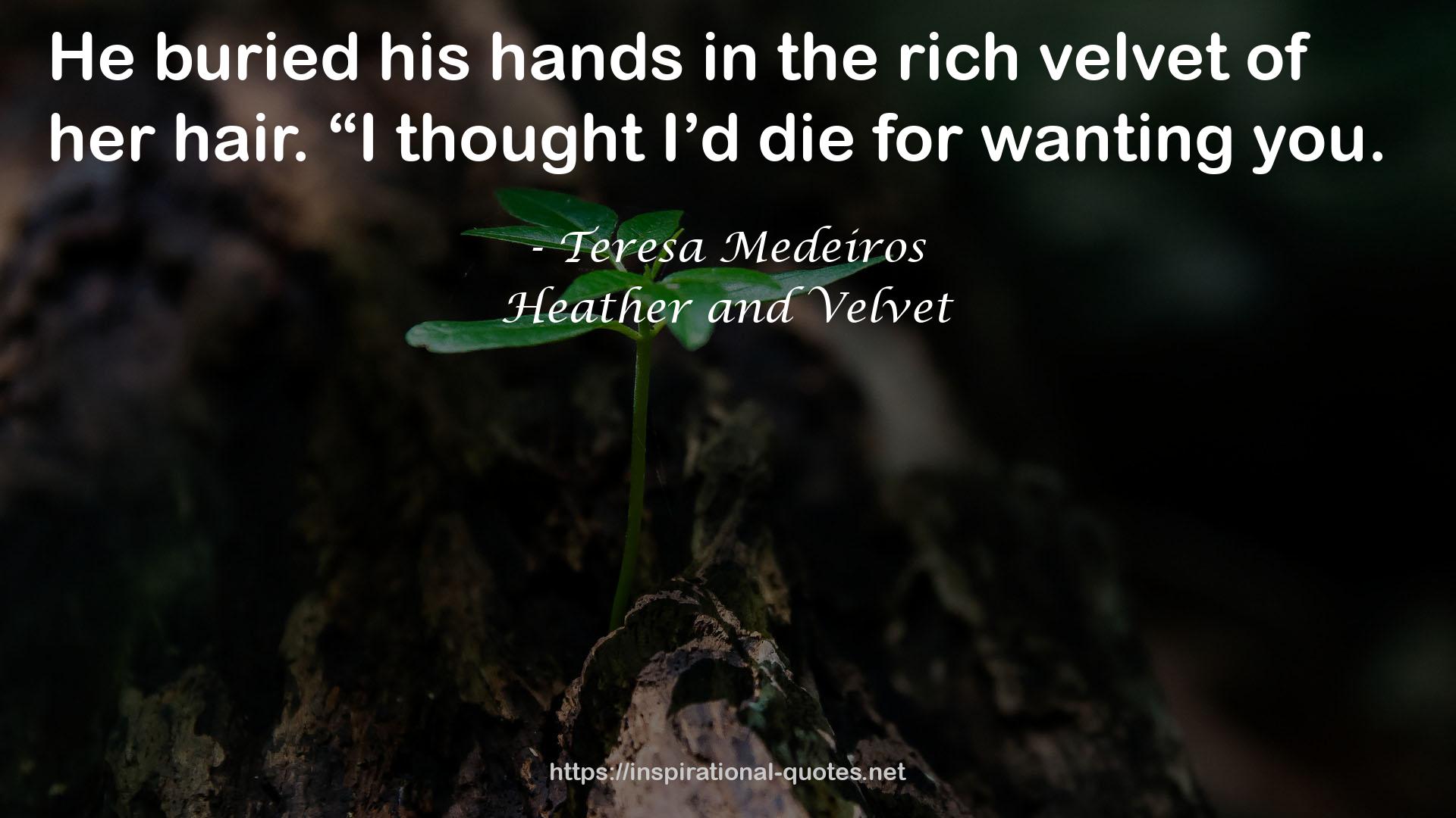 the rich velvet  QUOTES