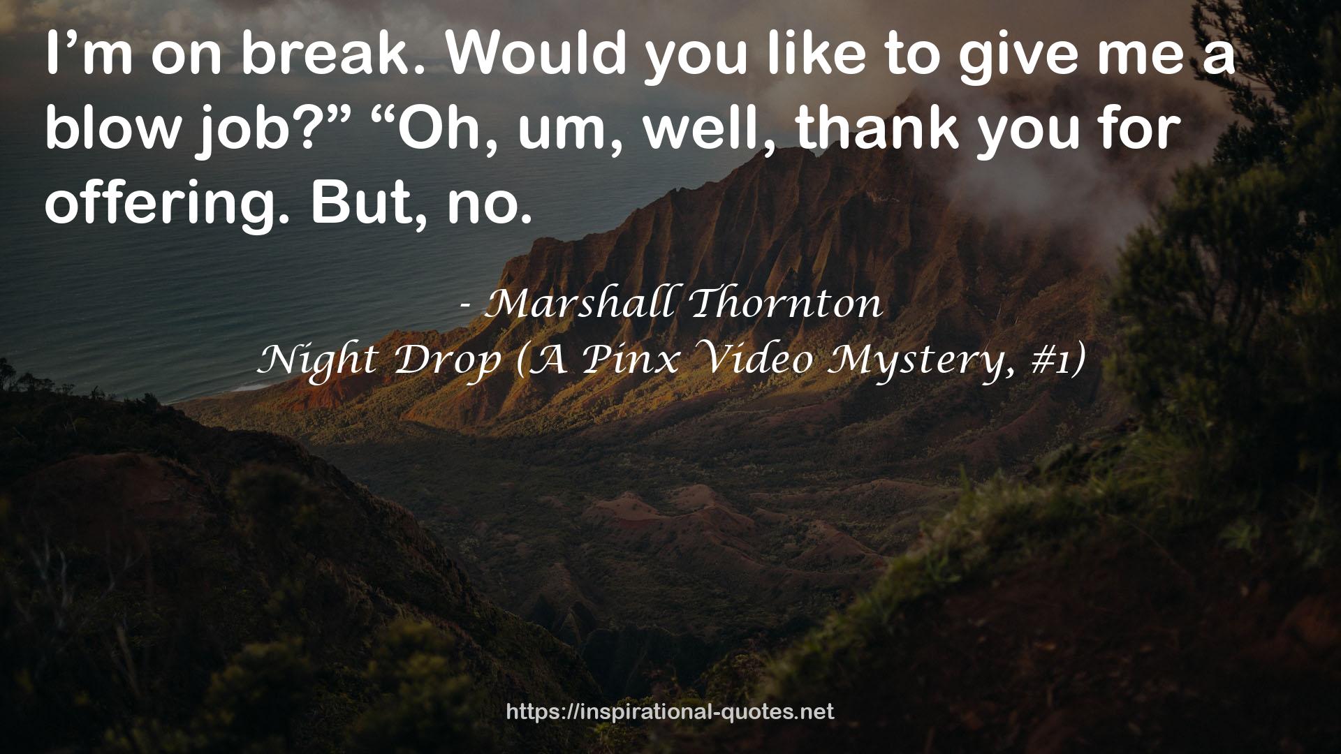 Night Drop (A Pinx Video Mystery, #1) QUOTES