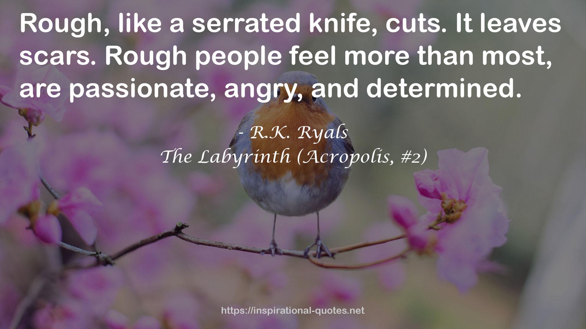 The Labyrinth (Acropolis, #2) QUOTES