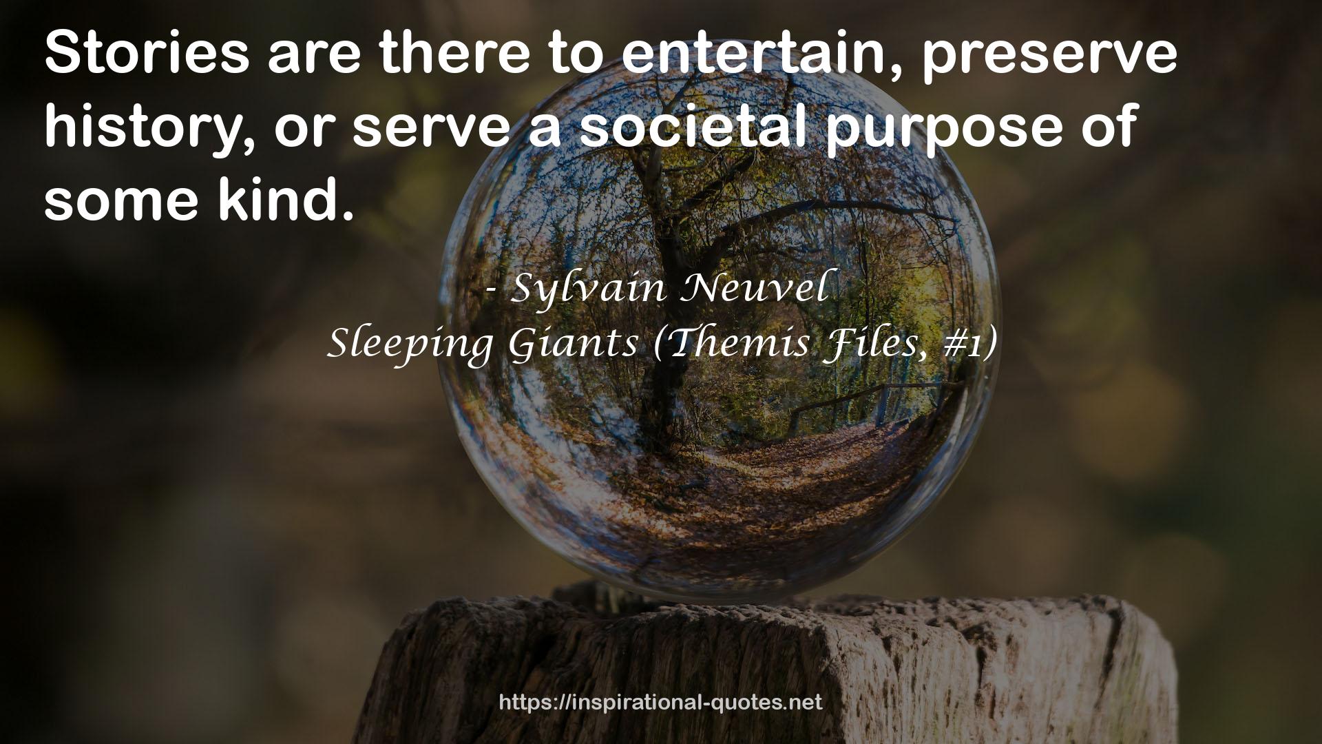 a societal purpose  QUOTES