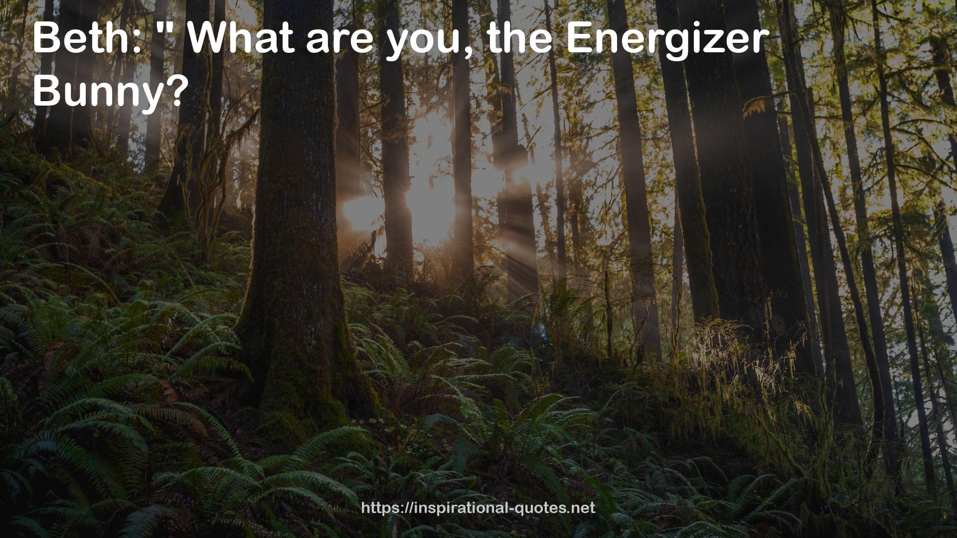 Energizer  QUOTES