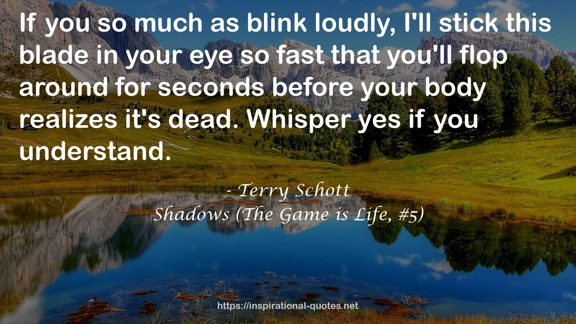 Shadows (The Game is Life, #5) QUOTES