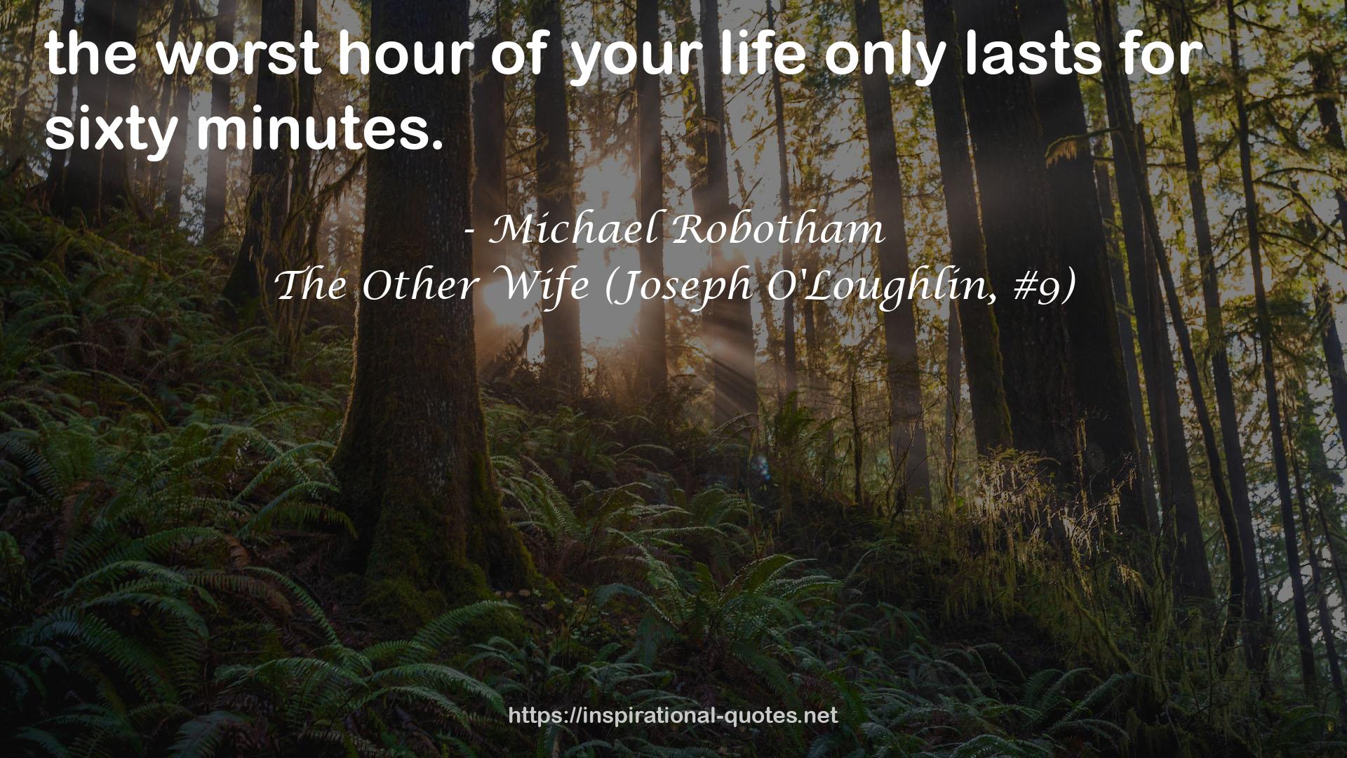 The Other Wife (Joseph O'Loughlin, #9) QUOTES