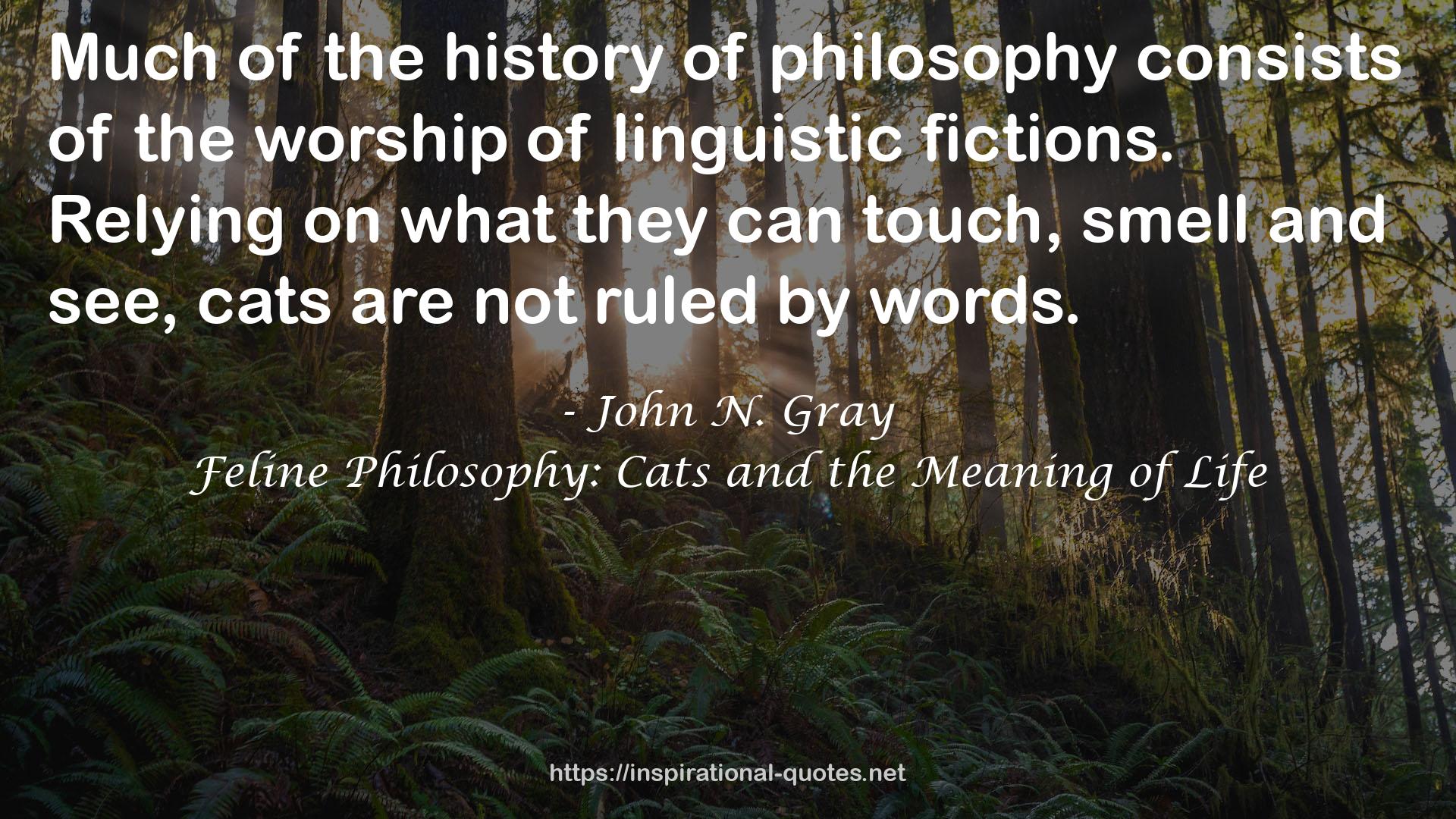 John N. Gray QUOTES