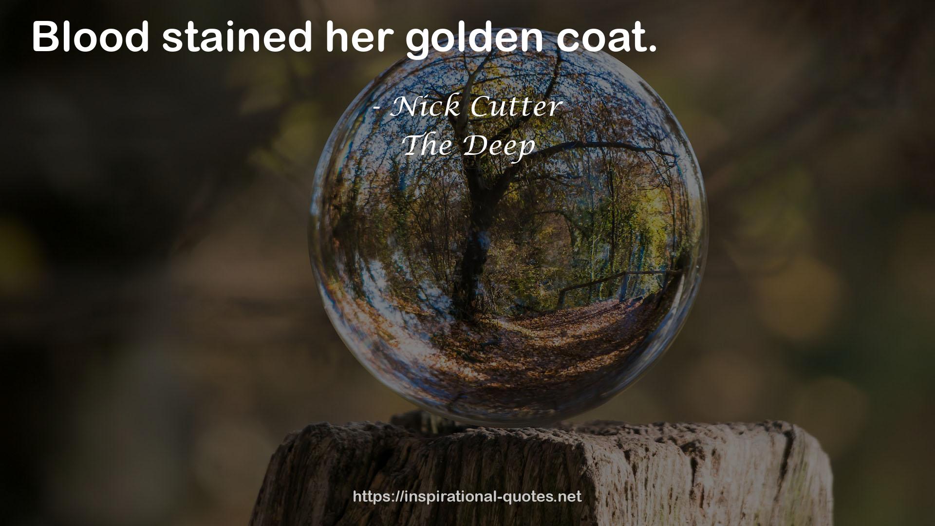 Nick Cutter QUOTES