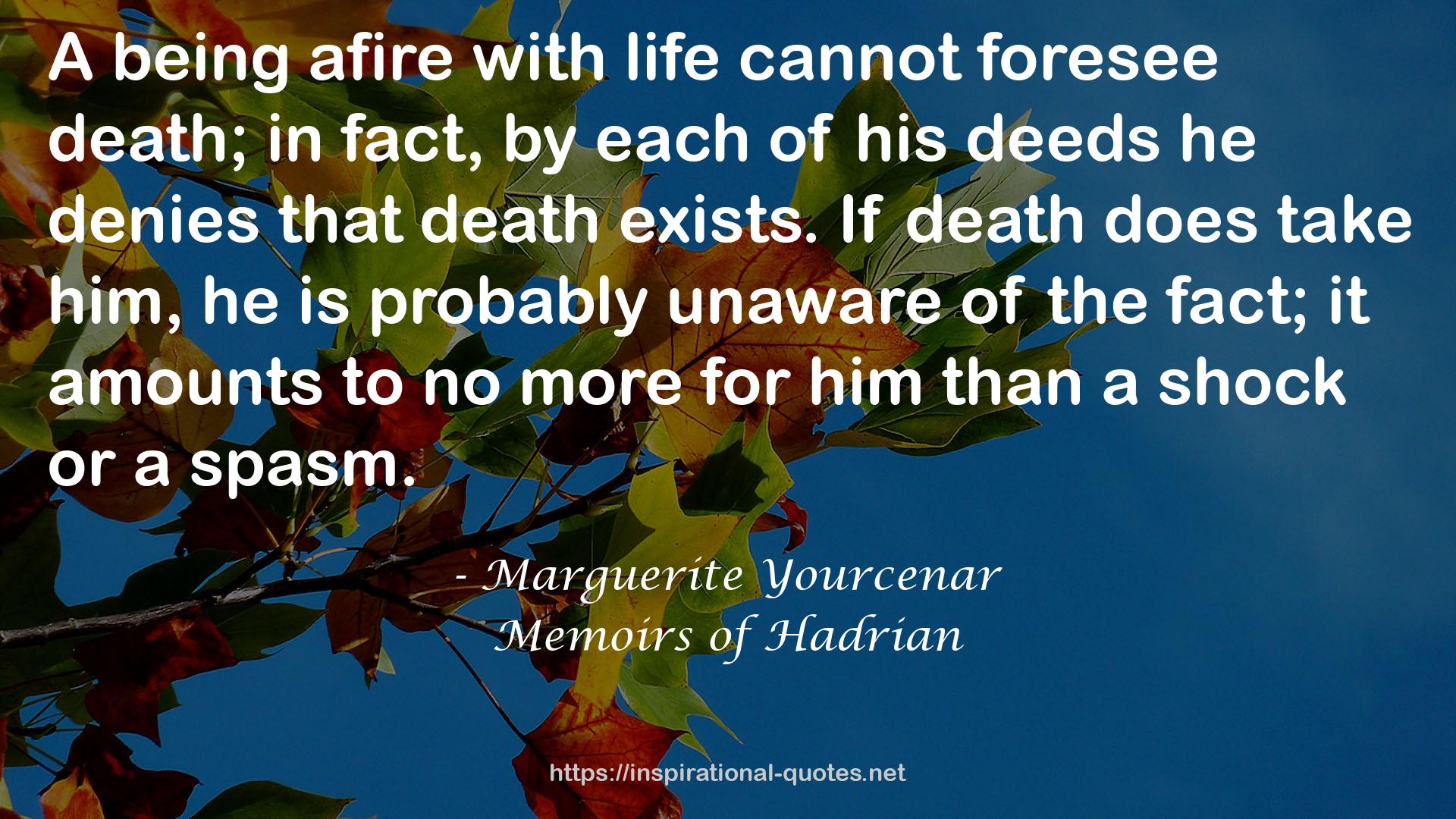 Marguerite Yourcenar QUOTES