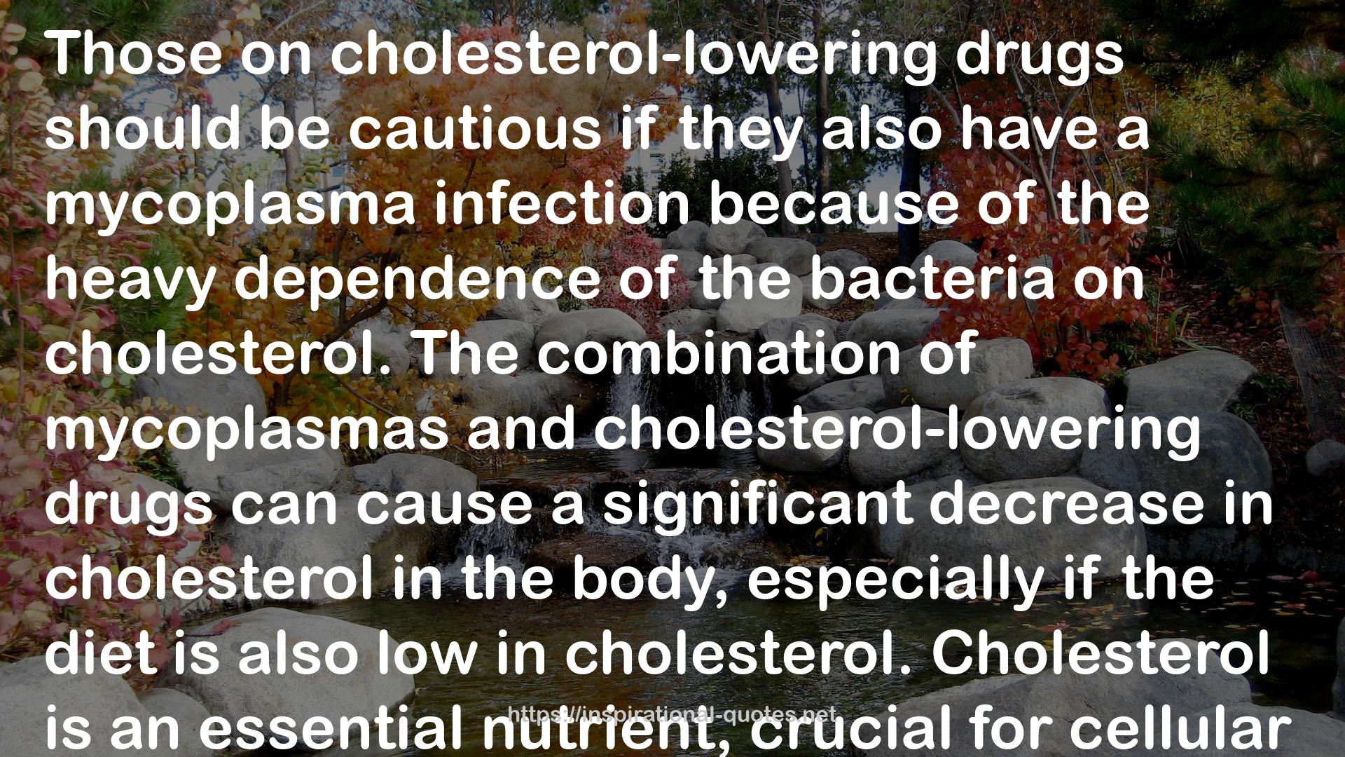 Healing Lyme Disease Coinfections: Complementary and Holistic Treatments for Bartonella and Mycoplasma QUOTES