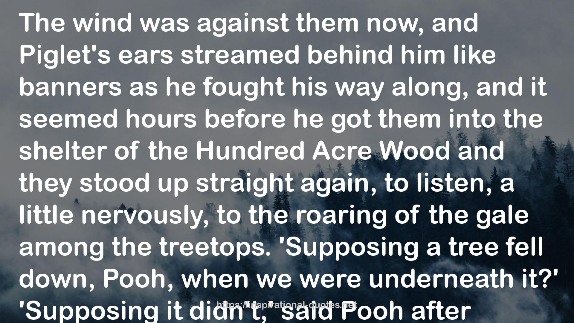 the Hundred Acre Wood  QUOTES