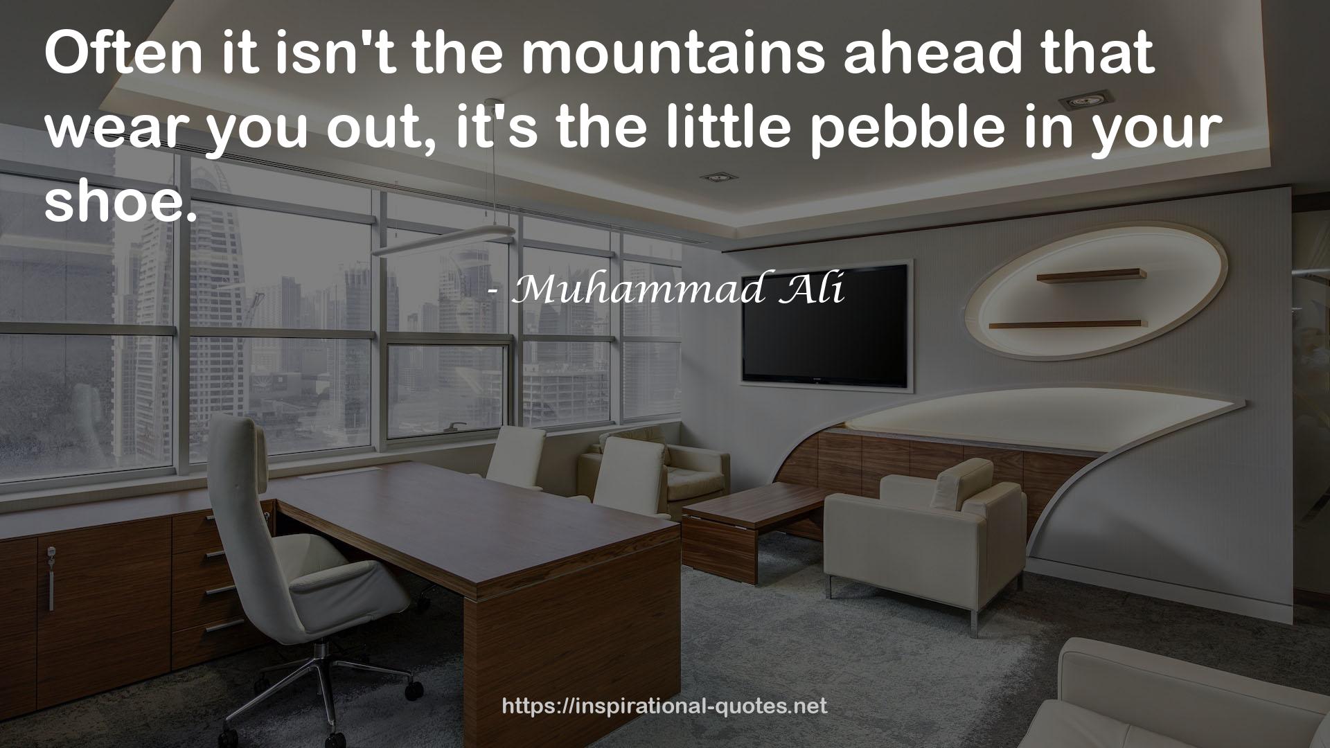 the little pebble  QUOTES