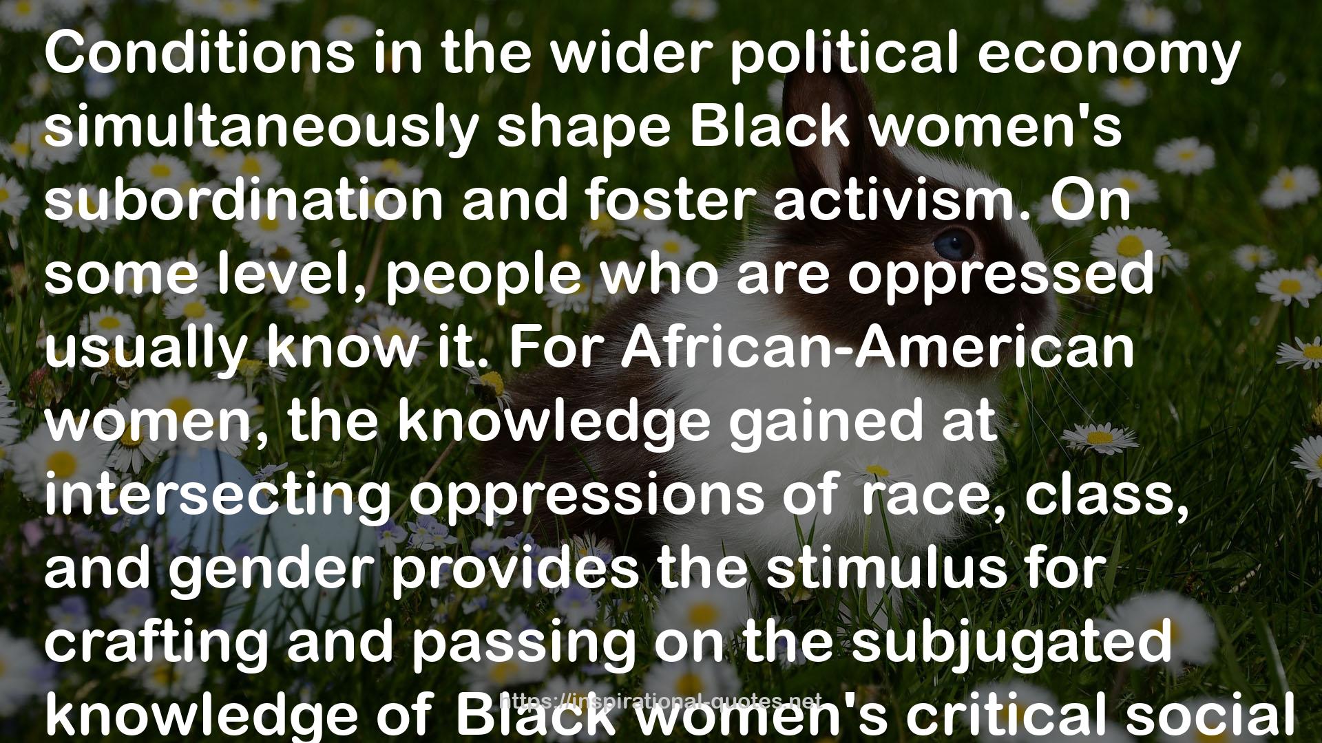 Black Feminist Thought: Knowledge, Consciousness, and the Politics of Empowerment QUOTES
