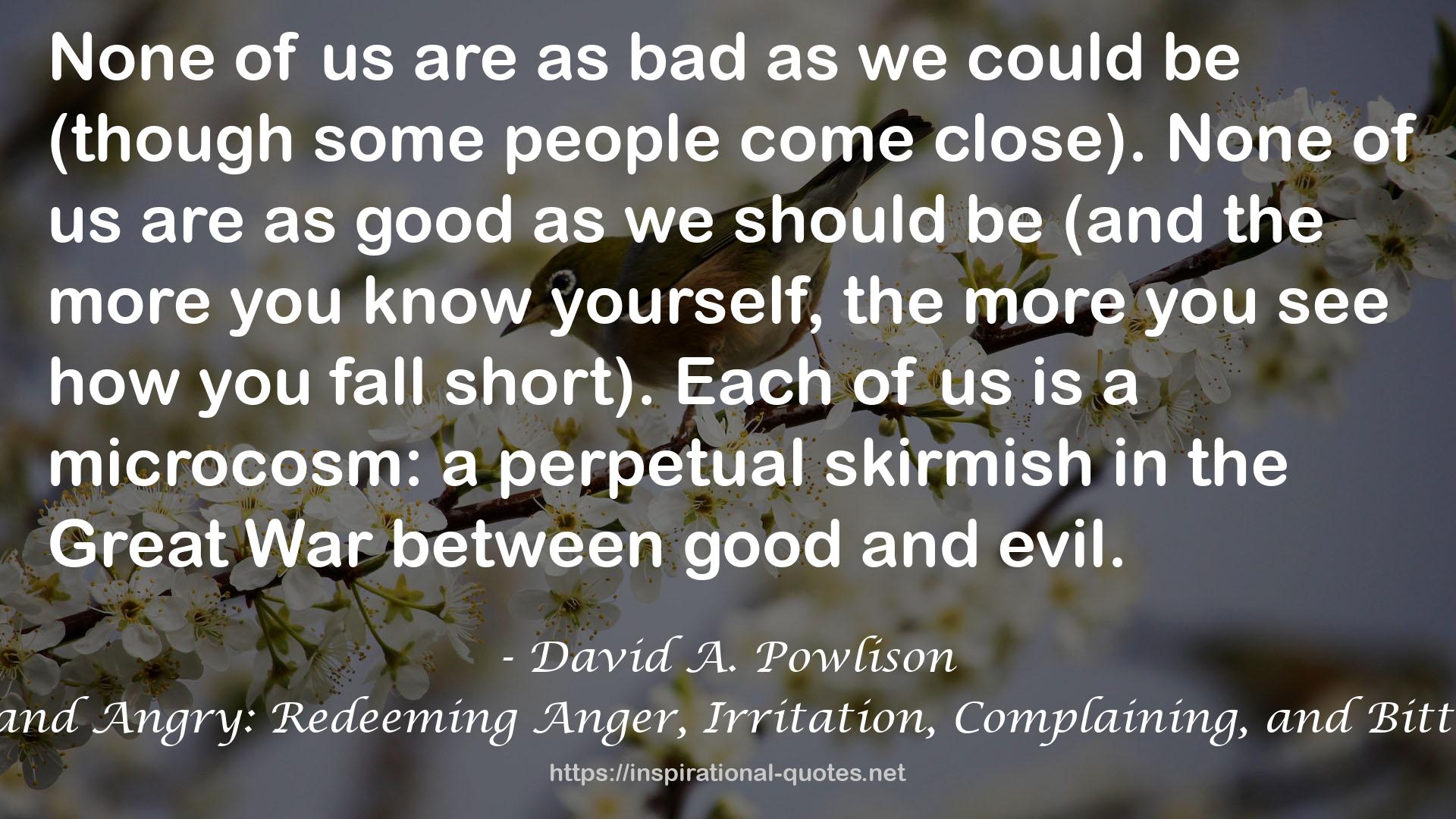 David A. Powlison QUOTES