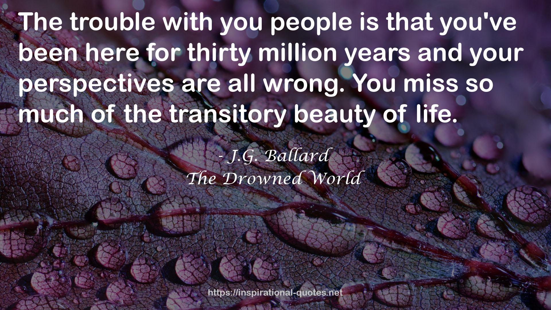 the transitory beauty  QUOTES