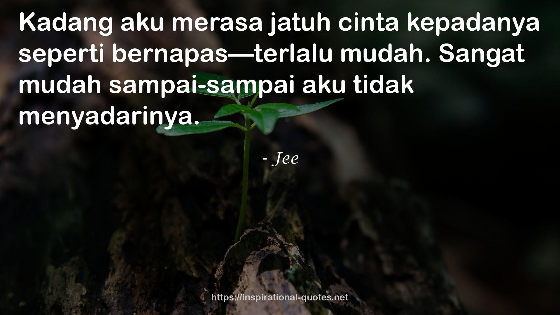 jatuh  QUOTES