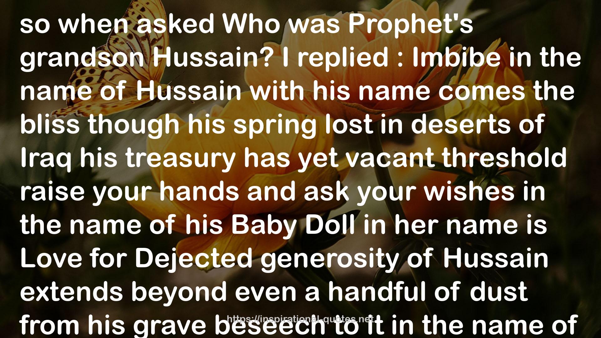 Hussain  QUOTES