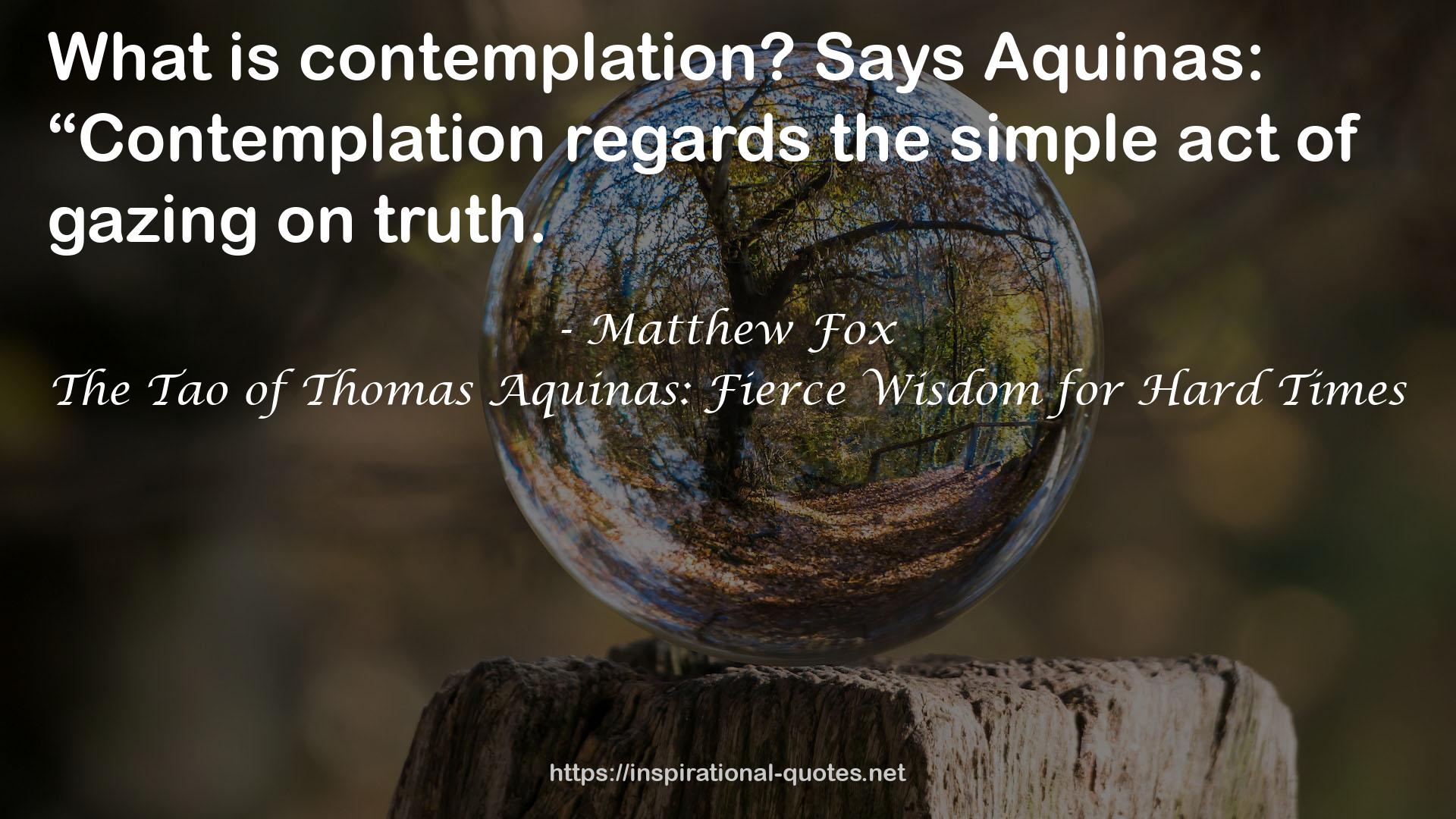 The Tao of Thomas Aquinas: Fierce Wisdom for Hard Times QUOTES