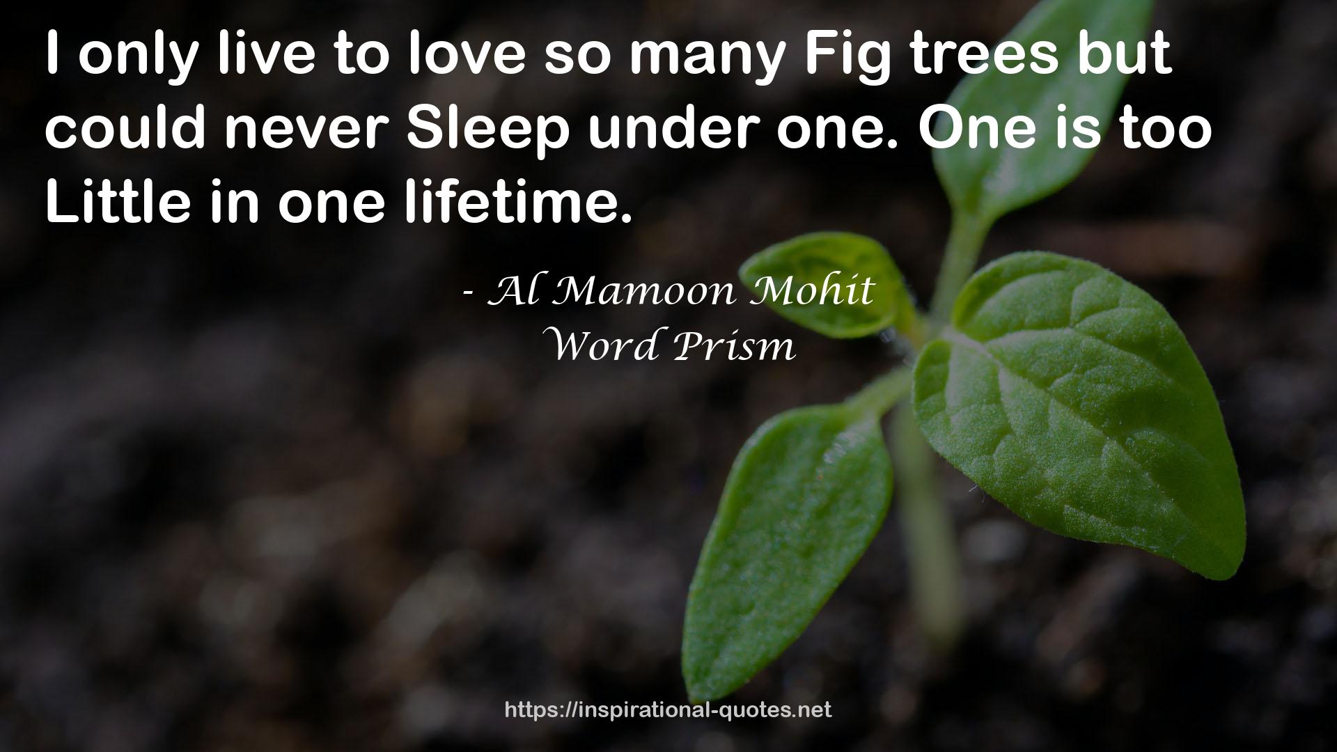 Al Mamoon Mohit QUOTES