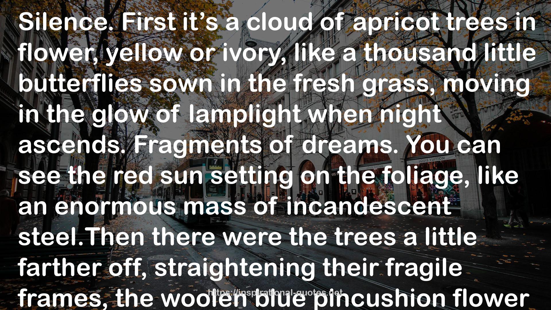 the woolen blue pincushion  QUOTES