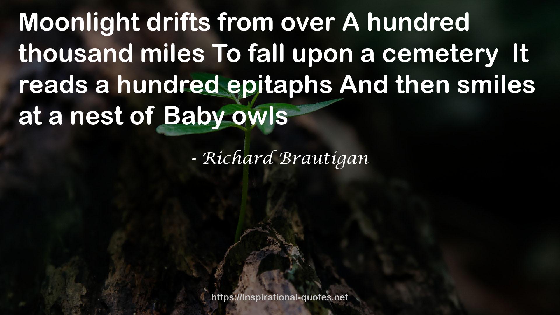 ofBaby  QUOTES