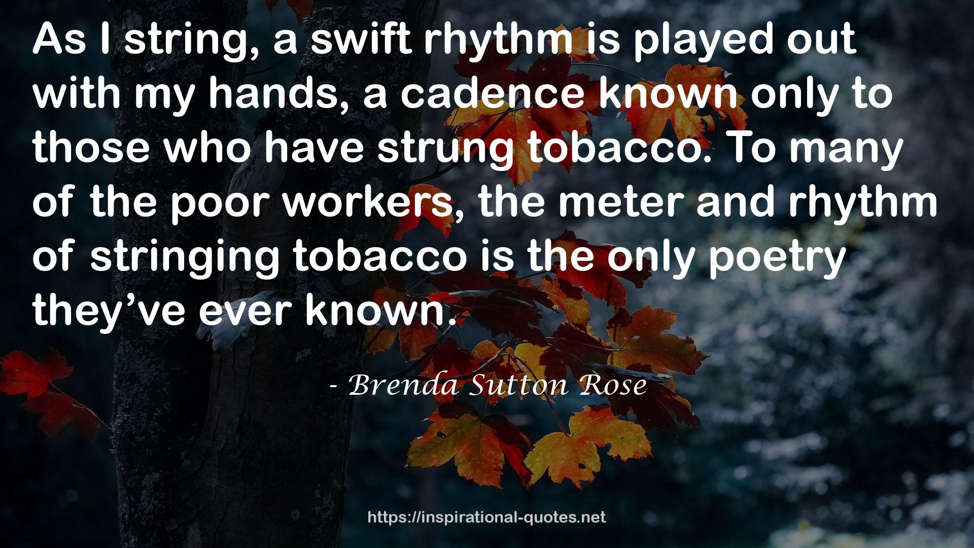 a swift rhythm  QUOTES