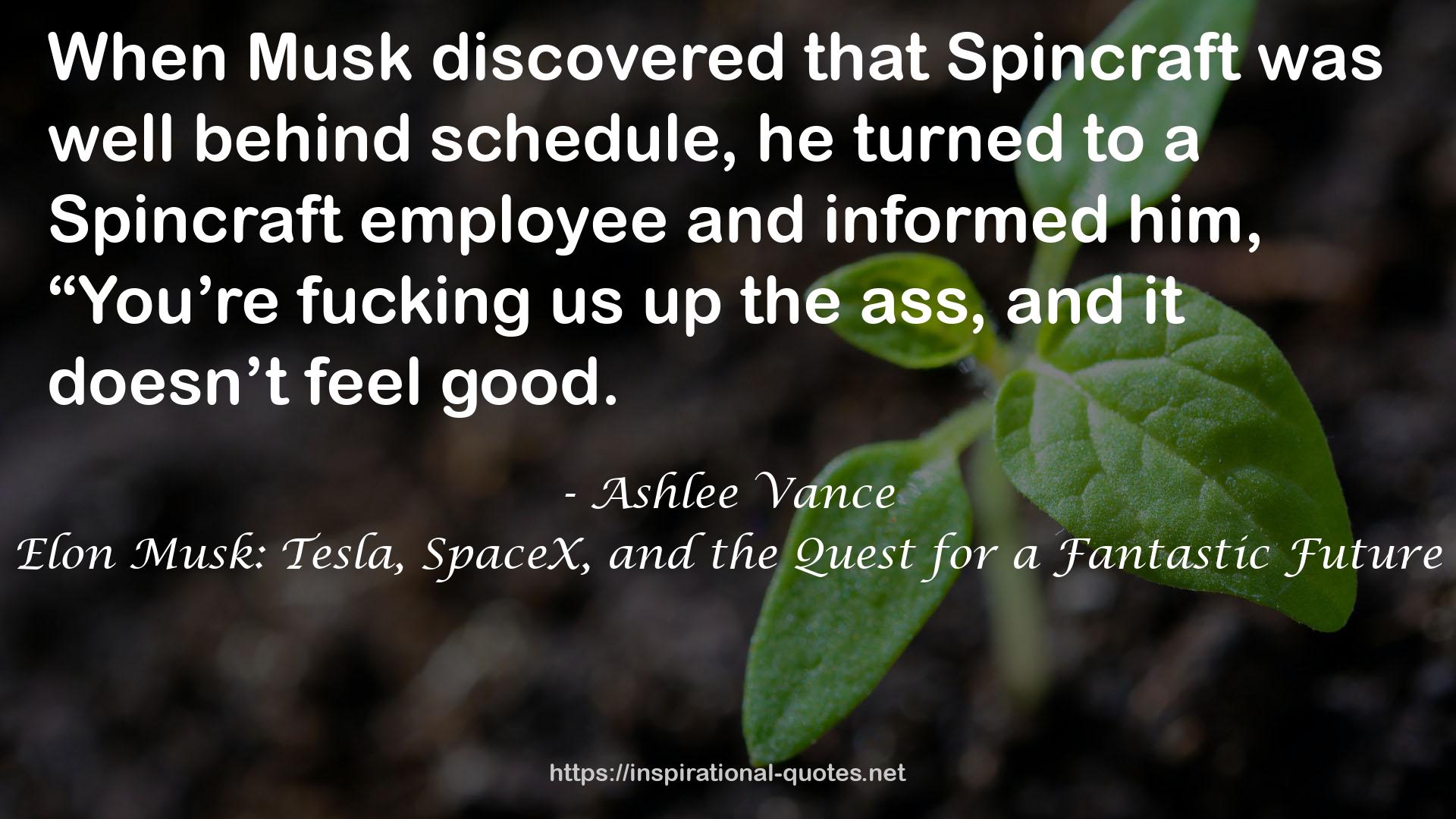 Elon Musk: Tesla, SpaceX, and the Quest for a Fantastic Future QUOTES