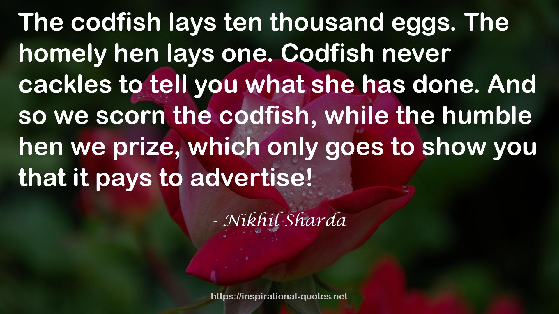 codfish  QUOTES