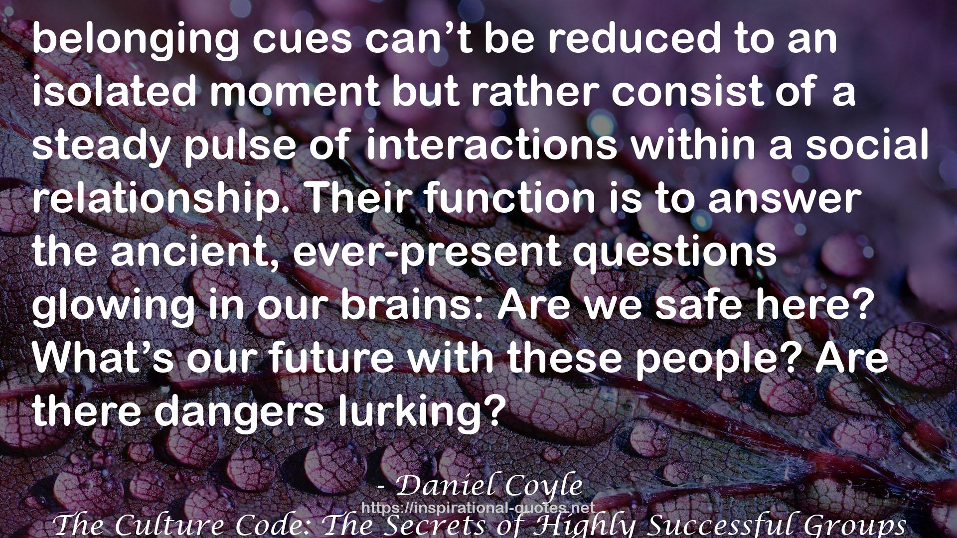 The Culture Code: The Secrets of Highly Successful Groups QUOTES