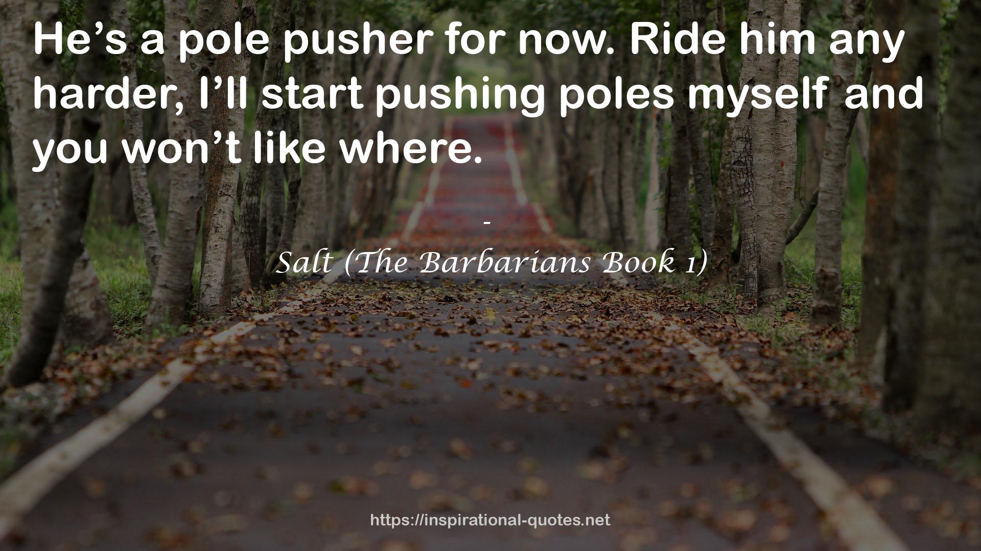 Salt (The Barbarians Book 1) QUOTES