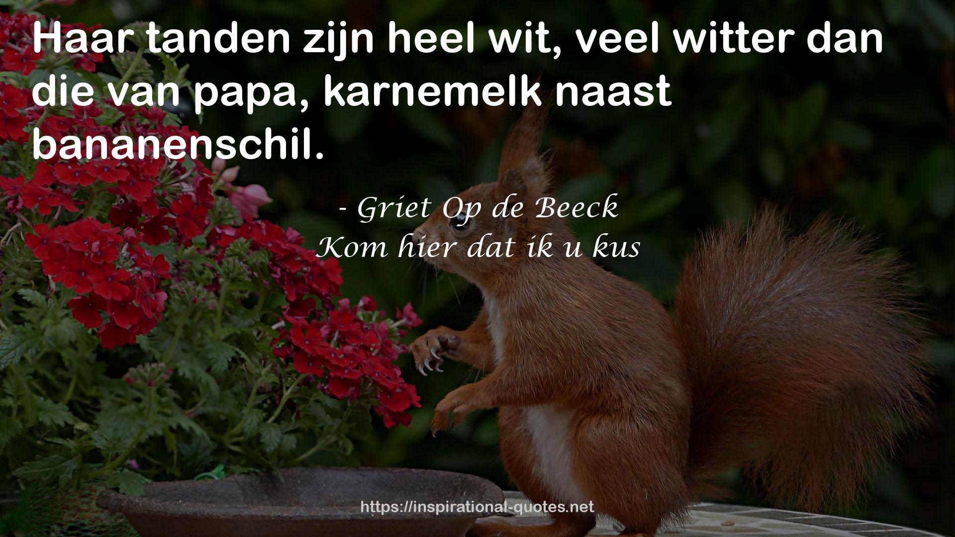 Griet Op de Beeck QUOTES