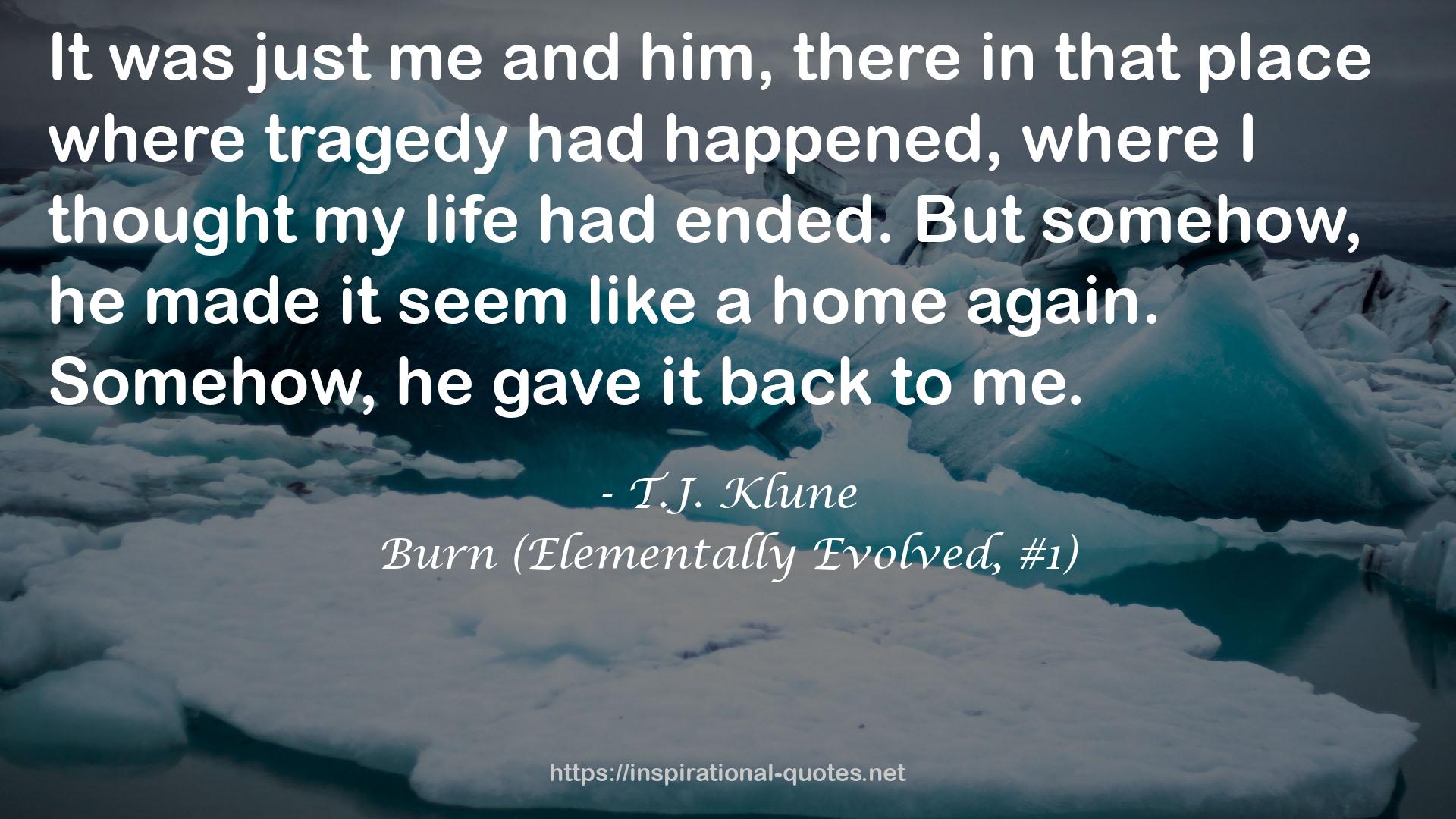 Burn (Elementally Evolved, #1) QUOTES