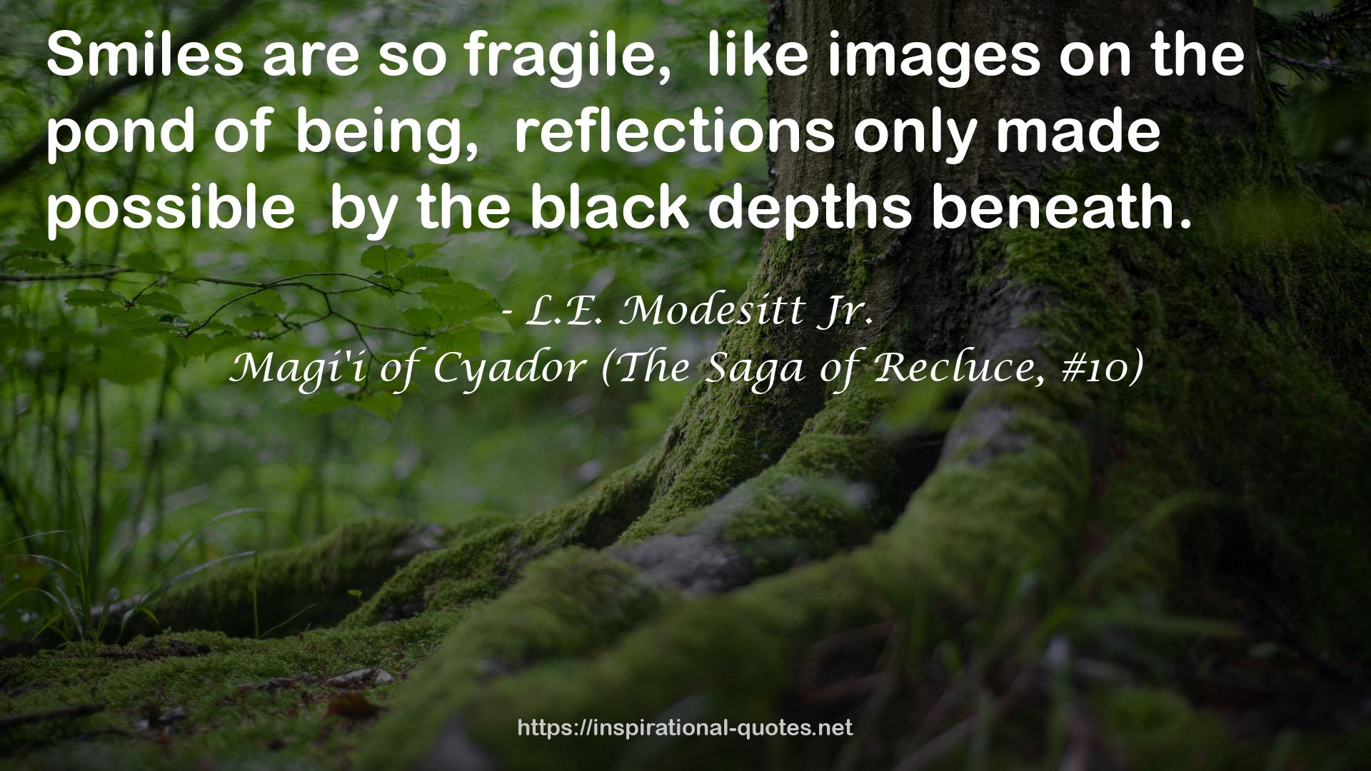 Magi'i of Cyador (The Saga of Recluce, #10) QUOTES
