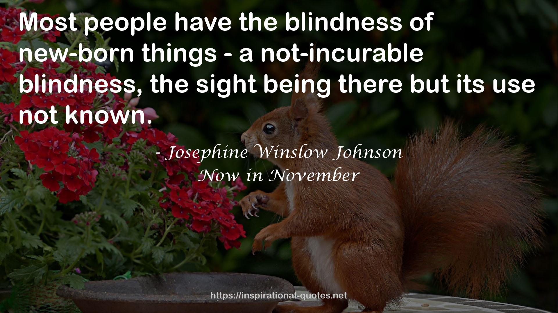 Josephine Winslow Johnson QUOTES