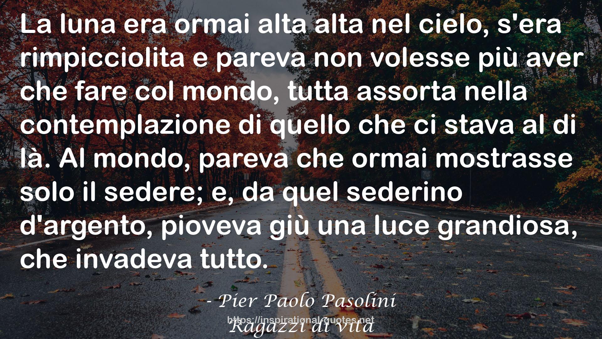 Ragazzi di vita QUOTES