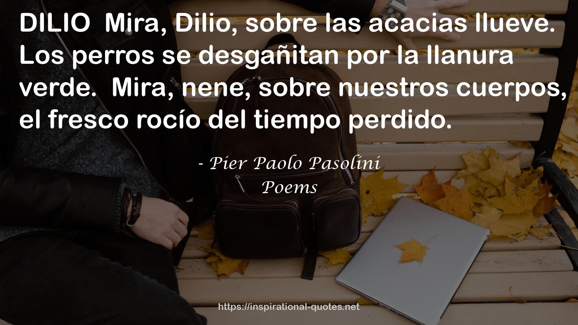 Pier Paolo Pasolini QUOTES