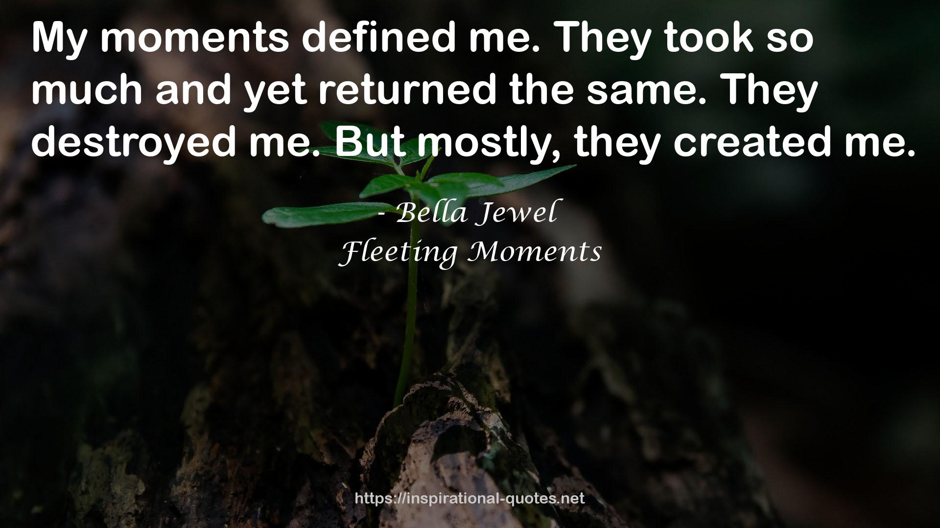 Fleeting Moments QUOTES
