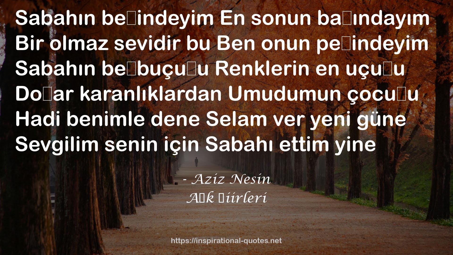 Aşk Şiirleri QUOTES