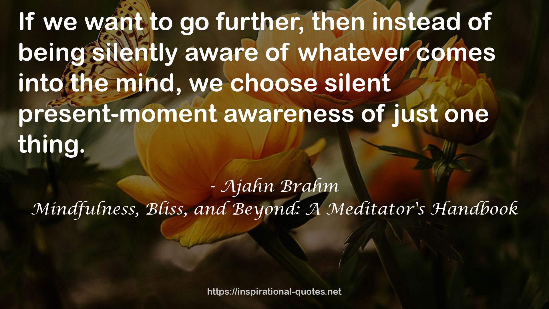 Ajahn Brahm QUOTES