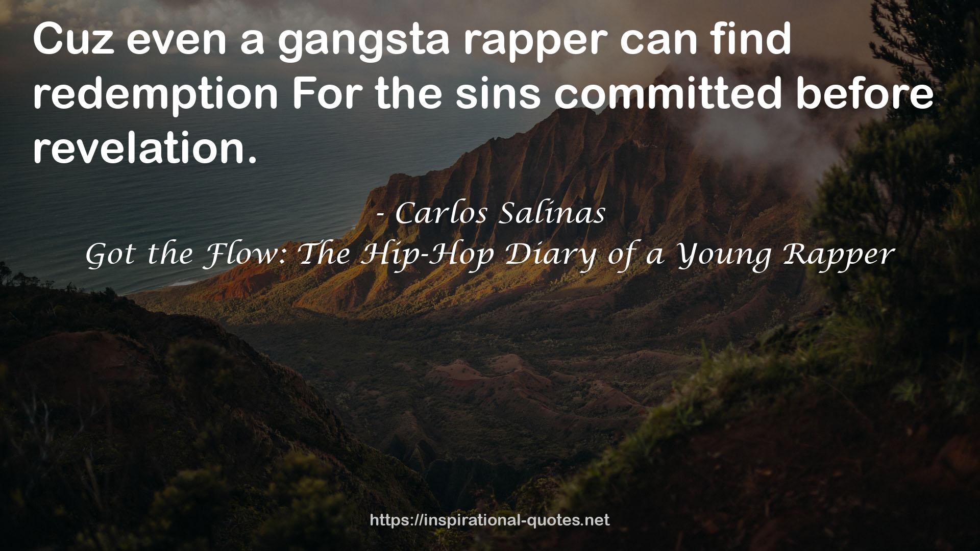 Got the Flow: The Hip-Hop Diary of a Young Rapper QUOTES