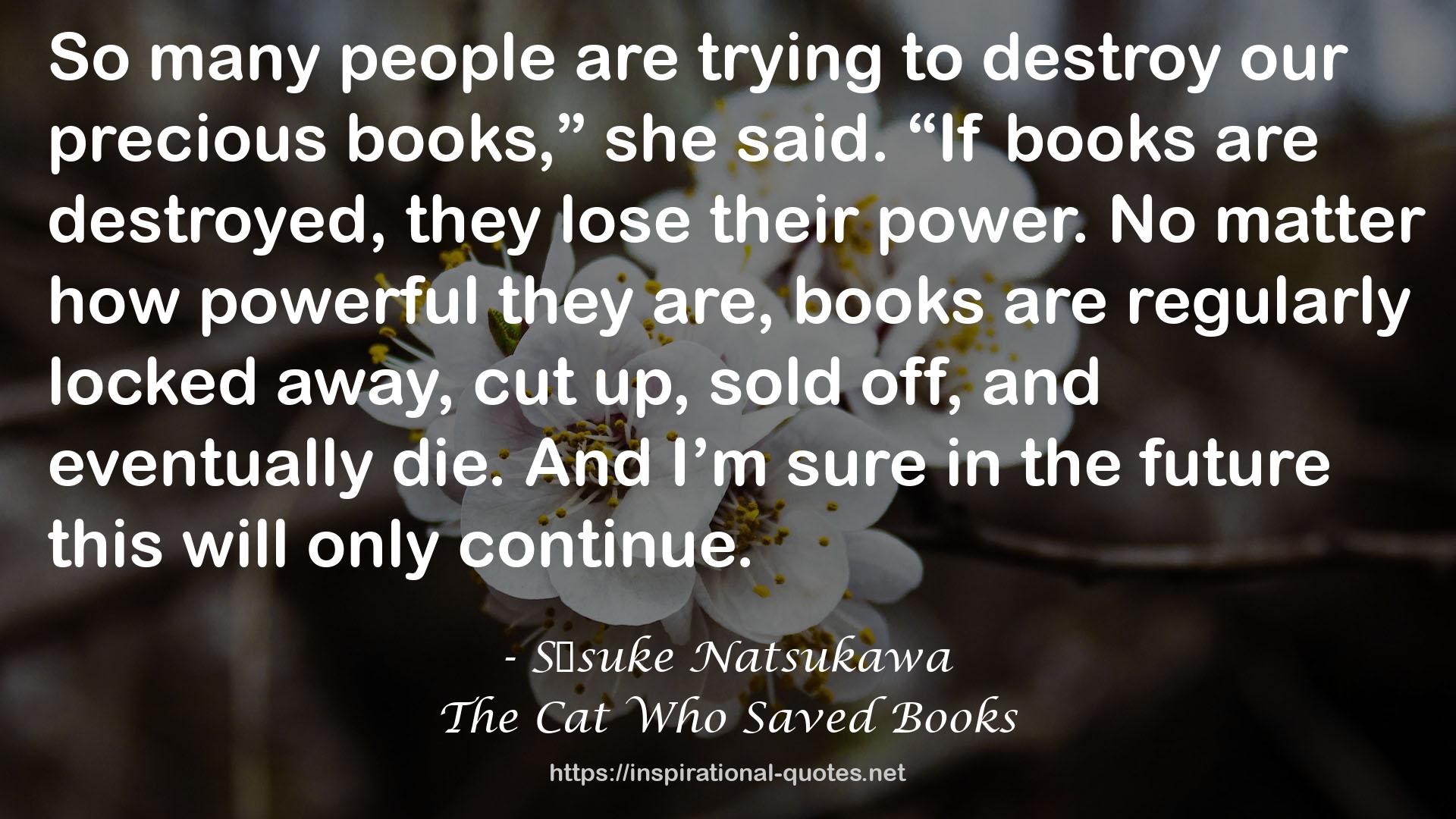 Sōsuke Natsukawa QUOTES