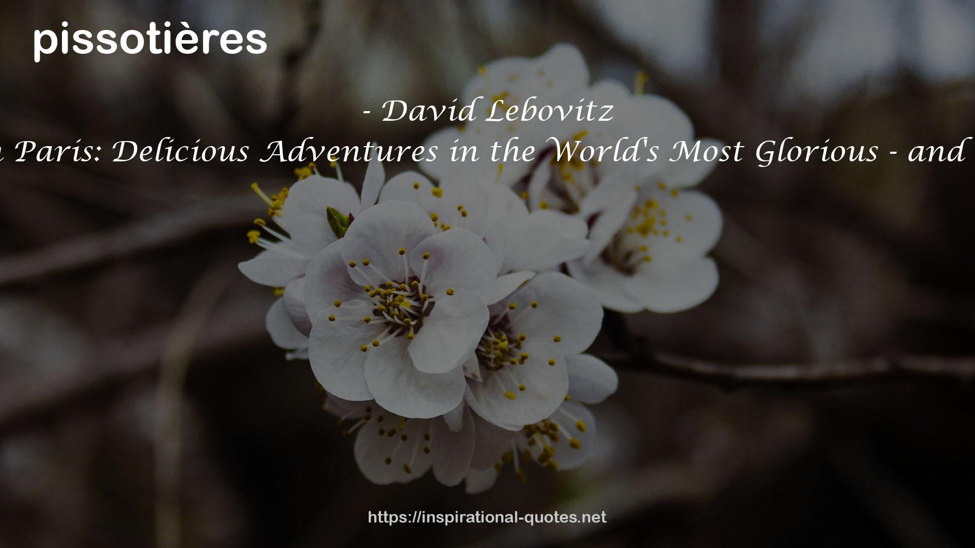 David Lebovitz QUOTES