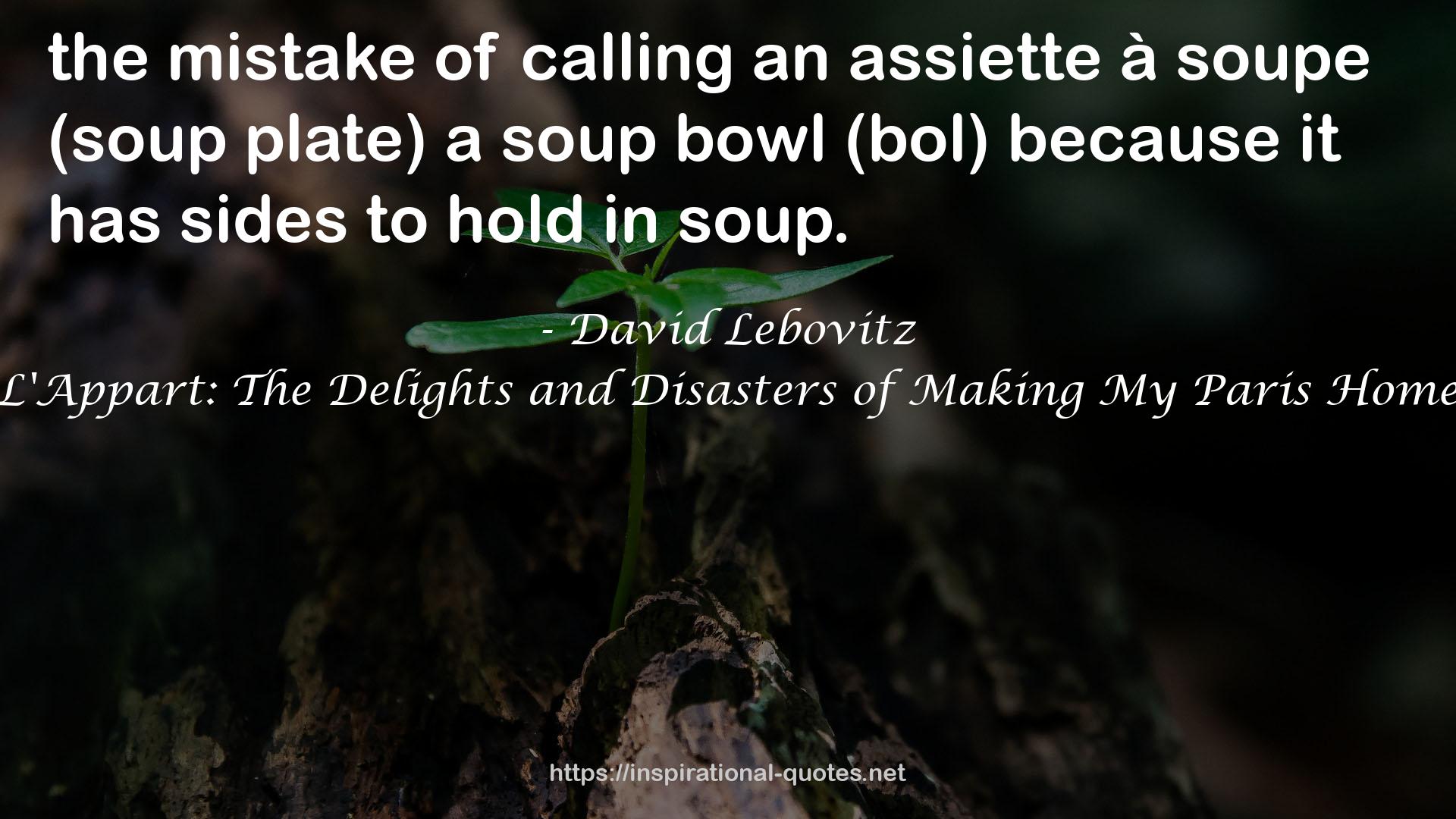 David Lebovitz QUOTES