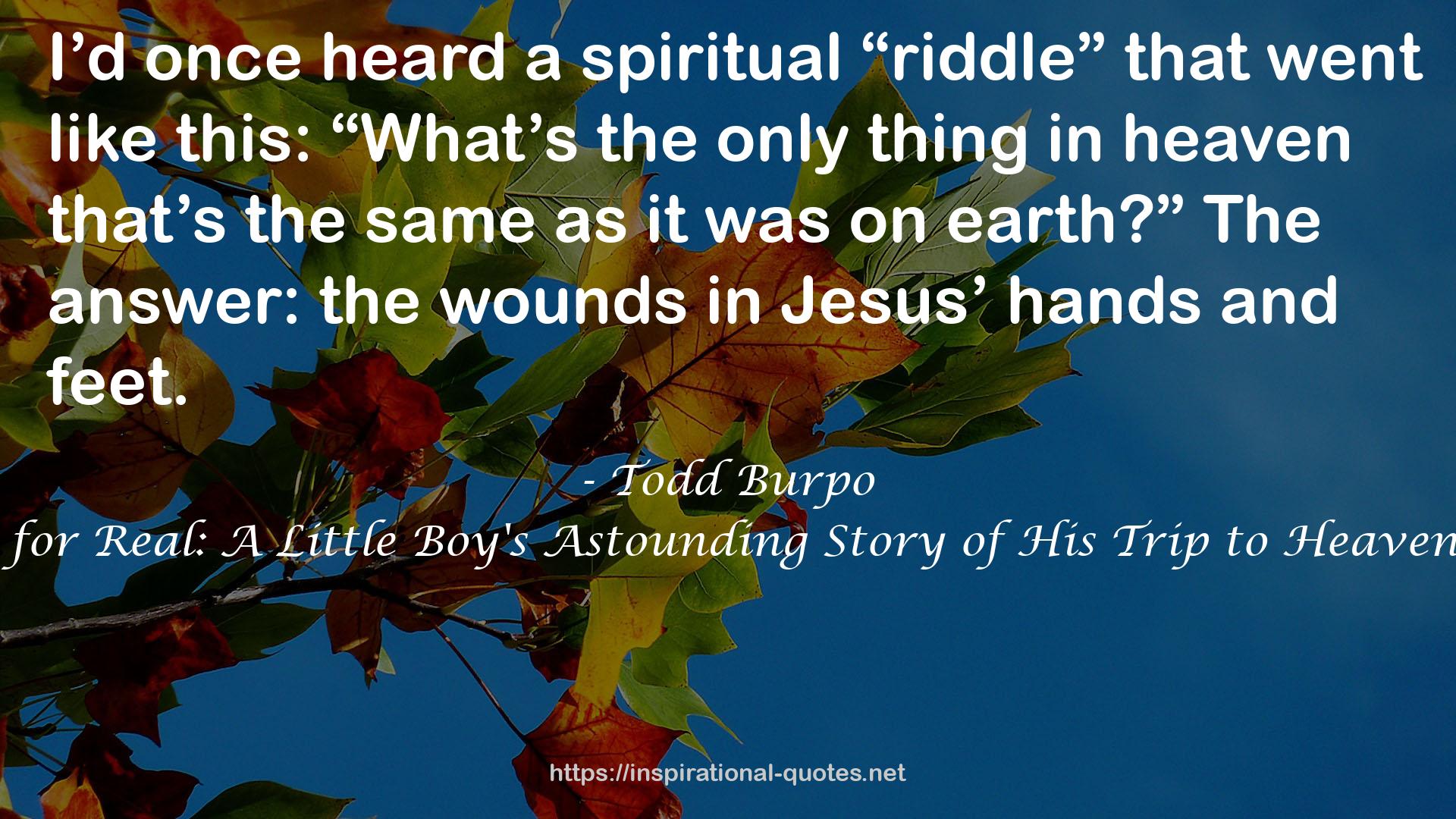 Heaven is for Real: A Little Boy's Astounding Story of His Trip to Heaven and Back QUOTES