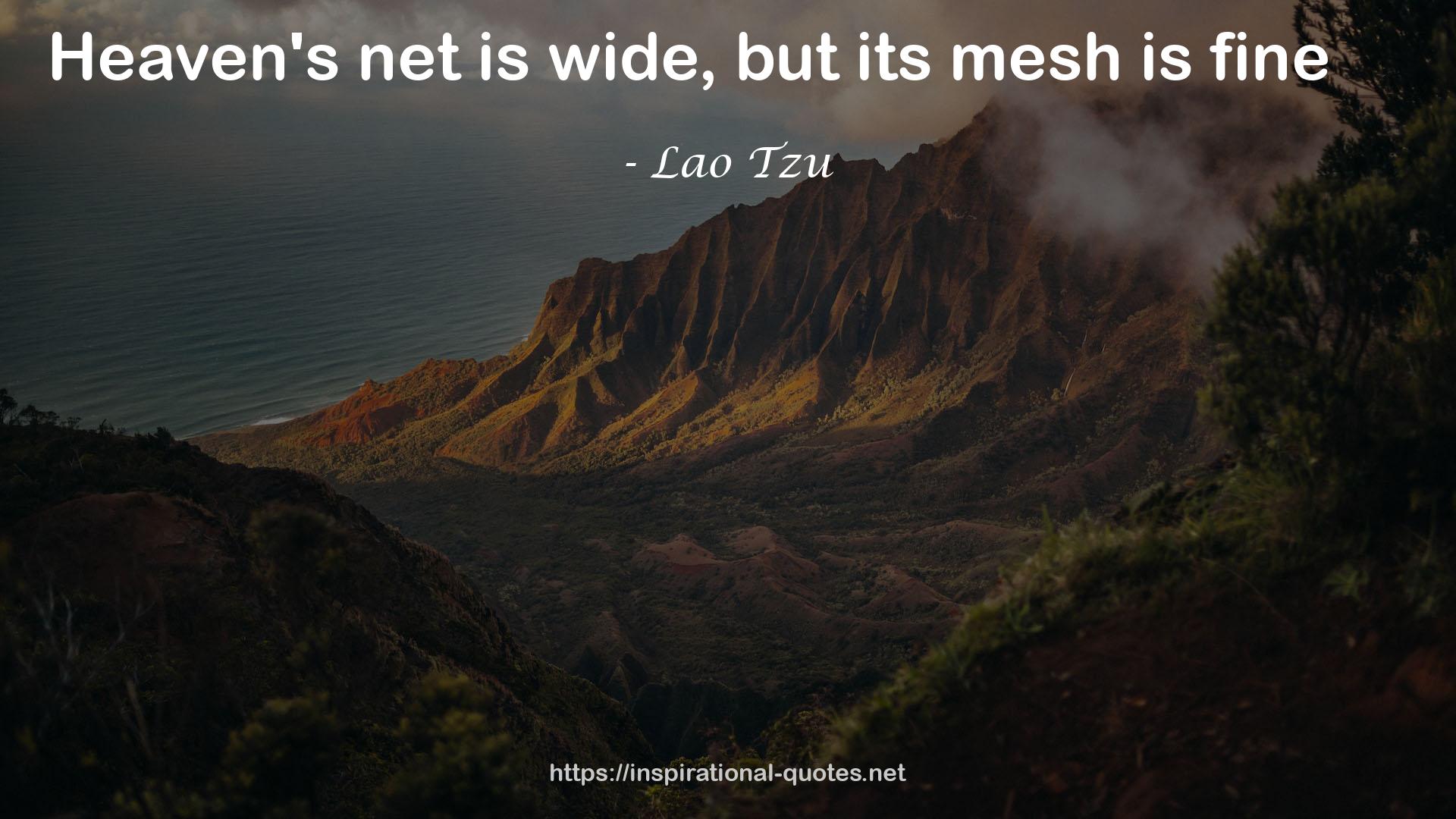 its mesh  QUOTES