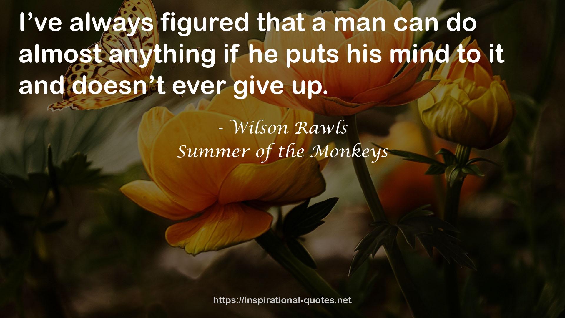 Summer of the Monkeys QUOTES