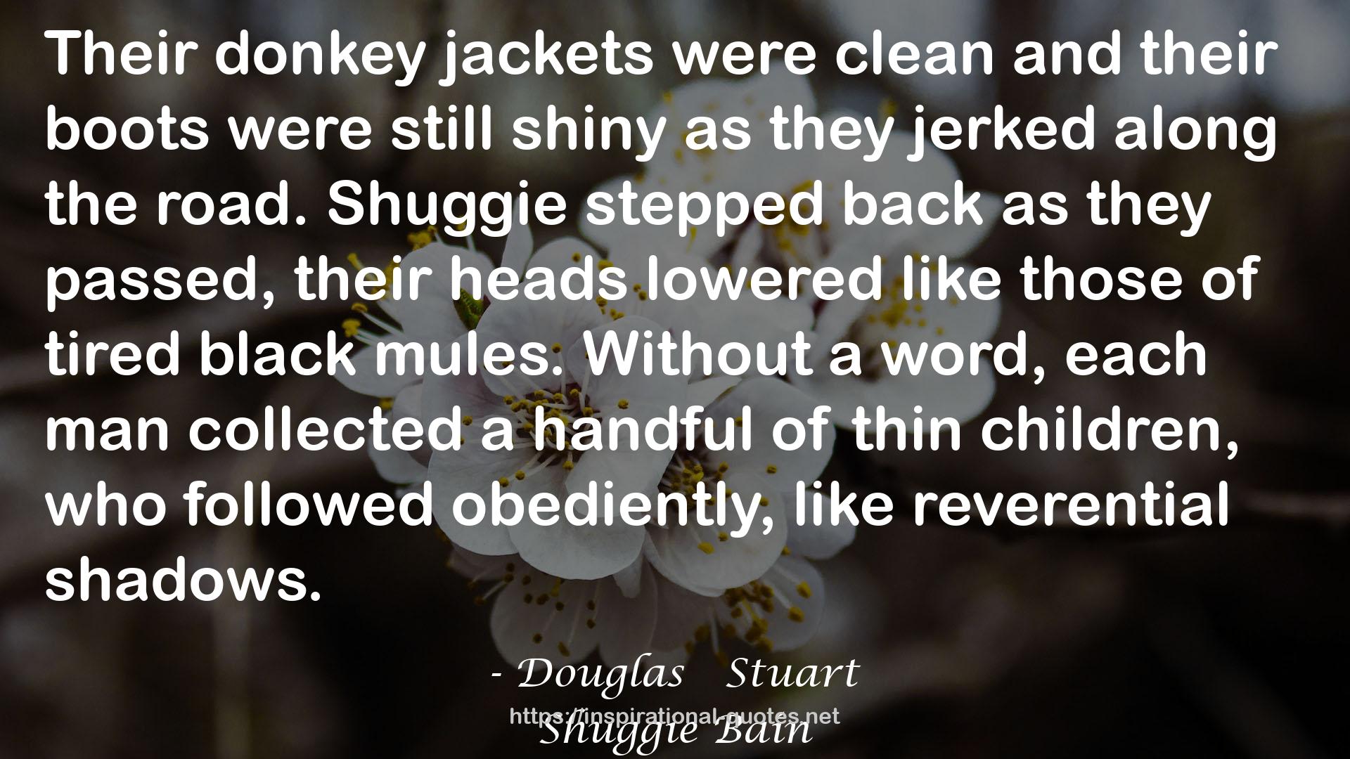 Douglas   Stuart QUOTES