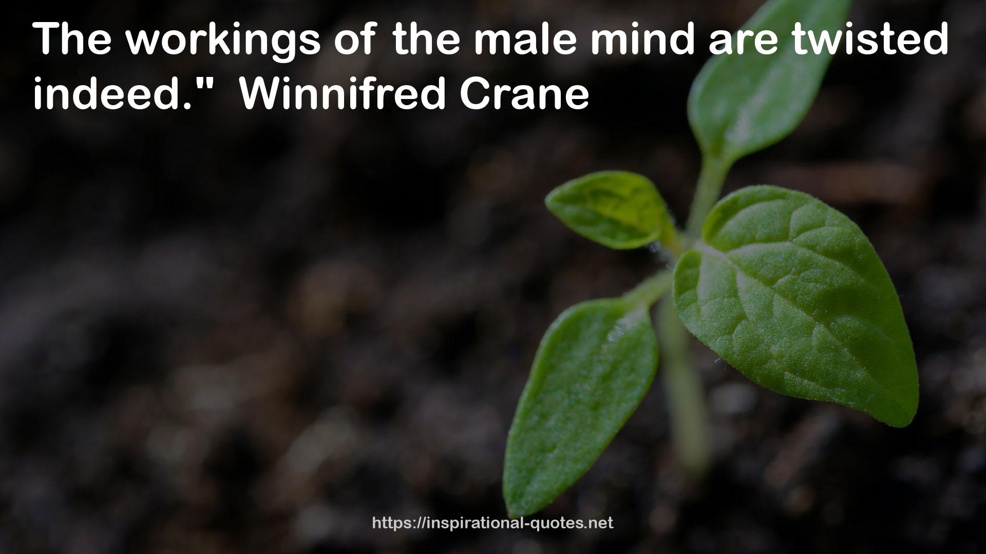 the male mind  QUOTES