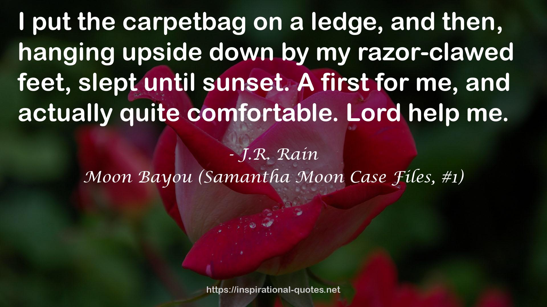 carpetbag  QUOTES