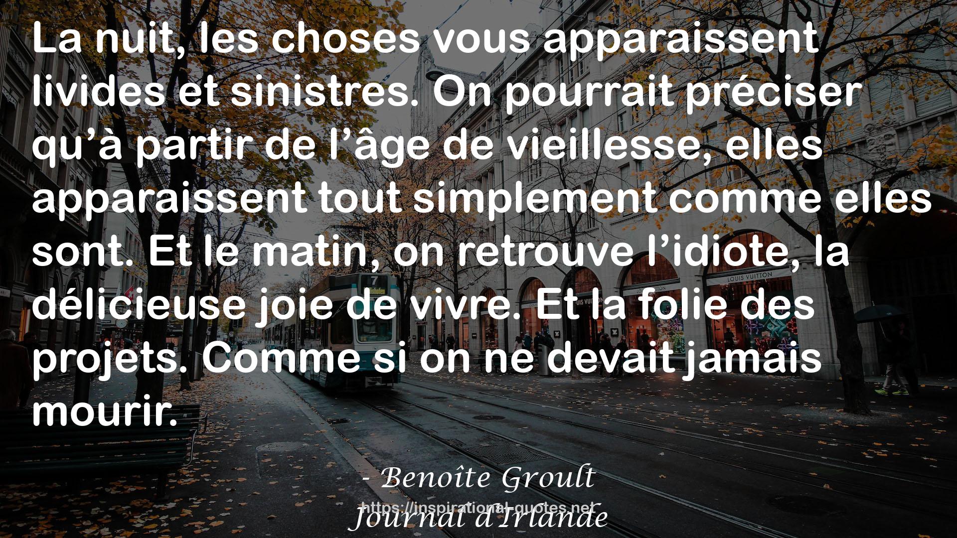 Journal d'Irlande QUOTES